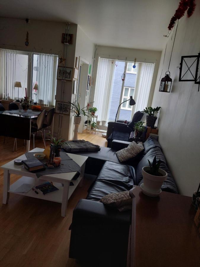 Shared Apartment, Down Town Oslo, Osterhaus'Gate 10 מראה חיצוני תמונה